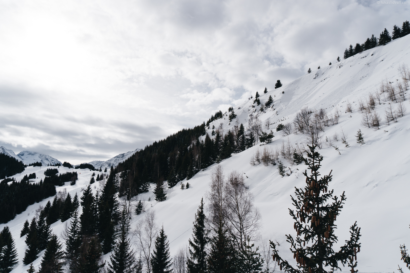 Alpe d'huez_011818-03351